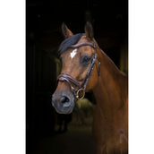 Eric Thomas Briglia Pro Design L'Avana Eric Thomas Briglia Pro Design L'Avana