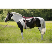 Norton Bareback Pad Marrone/Beige Norton Bareback Pad Marrone/Beige