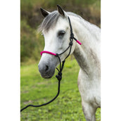 Norton Capestro e Lunghina Fun Colour Ethologisch Nero/Fucsia Norton Capestro e Lunghina Fun Colour Ethologisch Nero/Fucsia