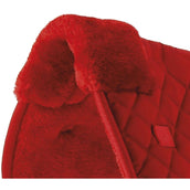 Riding World Sottofondo Rosso Riding World Sottofondo Rosso