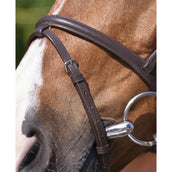 Riding World Briglia Riding World Briglia