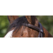 Riding World Briglia Riding World Briglia