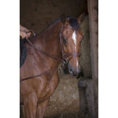 Norton Redini Laterali Pro Corto Elastico con Carrucole Havanna Norton Redini Laterali Pro Corto Elastico con Carrucole Havanna