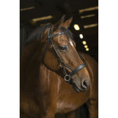 Norton Tiraggio laterale Pro Confort Nero Norton Tiraggio laterale Pro Confort Nero