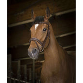 Norton Briglia Pro Rock L'Avana Norton Briglia Pro Rock L'Avana