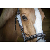 Pénélope Lampeggiatore L'Avana Pénélope Lampeggiatore L'Avana