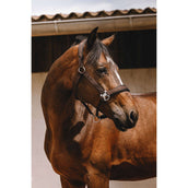 EQUITHÈME Capezzina Jacquard Marrone EQUITHÈME Capezzina Jacquard Marrone