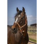 Norton Capezzina Soft Arancia Norton Capezzina Soft Arancia