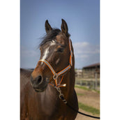 Norton Capezzina Soft Arancia Norton Capezzina Soft Arancia