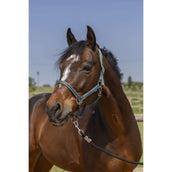 Norton Capezzina Grooming Verde scuro Norton Capezzina Grooming Verde scuro