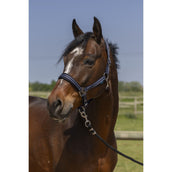 Norton Capezzina 4Lines Navy Norton Capezzina 4Lines Navy