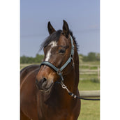 Norton Capezzina 4Lines Verde scuro Norton Capezzina 4Lines Verde scuro