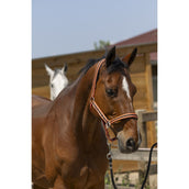 Norton Capezzina Satine Corallo/Nero Norton Capezzina Satine Corallo/Nero