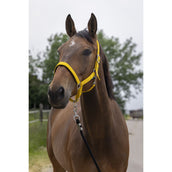 Norton Capezzina Satine Miele Norton Capezzina Satine Miele