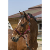 Norton Capezzina Satine Borgogna/Nero Norton Capezzina Satine Borgogna/Nero