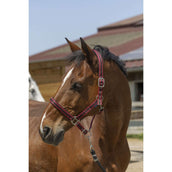 Norton Capezzina Satine Borgogna/Nero Norton Capezzina Satine Borgogna/Nero