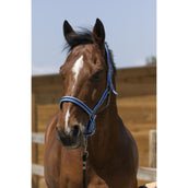 Norton Capezzina Satine Cielo/Nero Norton Capezzina Satine Cielo/Nero