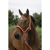 Norton Set Cavezza Large Corallo Norton Set Cavezza Large Corallo