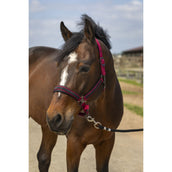 EQUITHÈME Capezzina Strass Borgogna EQUITHÈME Capezzina Strass Borgogna