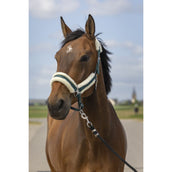 EQUITHÈME Capezzina Mouton Verde/Bianco EQUITHÈME Capezzina Mouton Verde/Bianco