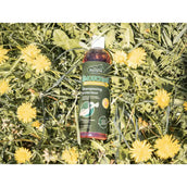 Ravene Shampoo Émouchine Protec Ravene Shampoo Émouchine Protec