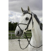 Riding World Briglia Riding World Briglia