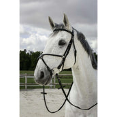 Riding World Briglia Riding World Briglia