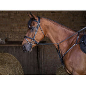 Eric Thomas Pettorina Hybrid Nero Eric Thomas Pettorina Hybrid Nero