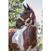 Norton Capezzina Pelle di pecora sintetica ecru Ecru/Navy Norton Capezzina Pelle di pecora sintetica ecru Ecru/Navy