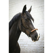 Pénélope Capestro in Corda Western Pénélope Capestro in Corda Western