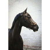 Pénélope Capestro in Corda Western Pénélope Capestro in Corda Western