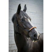 Pénélope Capestro in Corda Western Pénélope Capestro in Corda Western