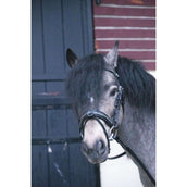 Eden by Pénélope Briglia Eden Nero Eden by Pénélope Briglia Eden Nero