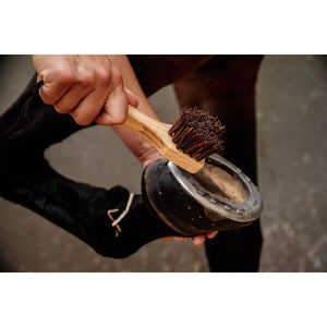 Grooming Deluxe by Kentucky Netta unghie Grooming Deluxe by Kentucky Netta unghie