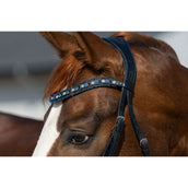 HB Briglia Showtime It is So Special Glitter nero/blu scuro HB Briglia Showtime It is So Special Glitter nero/blu scuro