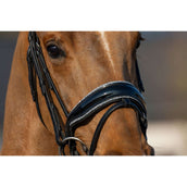 HB Briglia Showtime It is So Special Glitter nero/argento HB Briglia Showtime It is So Special Glitter nero/argento