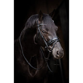 HB Briglia Showtime Evalira Blu/Nero HB Briglia Showtime Evalira Blu/Nero