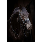 HB Briglia Showtime Evalira Blu/Nero HB Briglia Showtime Evalira Blu/Nero