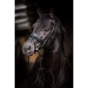 HB Briglia Showtime Evalira Blu/Nero HB Briglia Showtime Evalira Blu/Nero