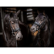 HB Briglia Showtime Evalira Blu/Nero HB Briglia Showtime Evalira Blu/Nero