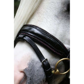 HB Briglia Special Nero/Borgogna HB Briglia Special Nero/Borgogna