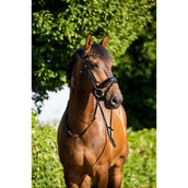 HB Briglia Showtime Sweet Dreams Nero/Borgogna HB Briglia Showtime Sweet Dreams Nero/Borgogna