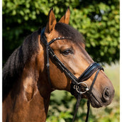 HB Briglia Showtime Sweet Dreams Nero/Borgogna HB Briglia Showtime Sweet Dreams Nero/Borgogna