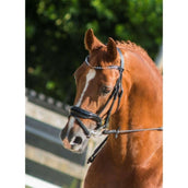 HB Briglia Armani Nero HB Briglia Armani Nero