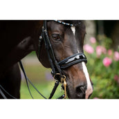 HB Briglia Doppia Special for You Nero/blu marino HB Briglia Doppia Special for You Nero/blu marino