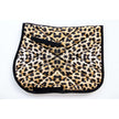 Leopardo