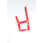 HB Cavezza per puledro Astrid Rosso HB Cavezza per puledro Astrid Rosso