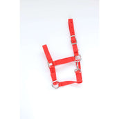 HB Cavezza per puledro Astrid Rosso HB Cavezza per puledro Astrid Rosso