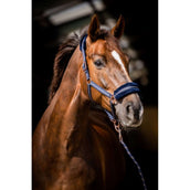 HB Capezzina Europa Rose Navy HB Capezzina Europa Rose Navy