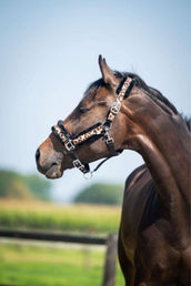 HB Capezzina Leopard Fur Leopard HB Capezzina Leopard Fur Leopard